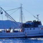 Gürcistan Türk balıkçı teknelerine el koydu