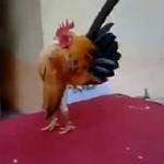 Bunun sırrını kimse çözemedi