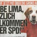 Köpek Lima’yı SPD’ye üye yaptılar!