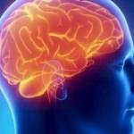 Beyin sağlığını korumak için ne yapılmalı?