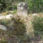 Şehit üsteğmenin mezarı 103 yıl sonra bulundu