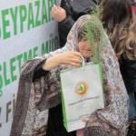 Beypazarı'nda vatandaşlara ücretsiz fidan dağıtıldı