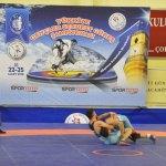 Türkiye Gençler Serbest Güreş Şampiyonası