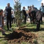 21 Mart D&uuml;nya Ormancılık G&uuml;n&uuml; ve Haftası