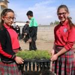 Şarkışla'da 150 fidan toprakla buluştu