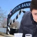 Flaş karar: 3 şirkete kayyum atandı!