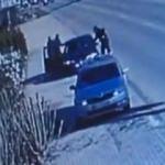 Kosova'da bir bakan ve istihbarat şefi kovuldu!