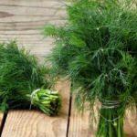 Dereotunun faydaları nelerdir?