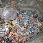 Sapanca Gölü'nden 300 torba çöp toplandı