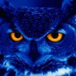 6. his nedir? Altıncı his kimlerde kuvvetlidir? 