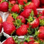 Çileğin çürümesini önleyen yöntem