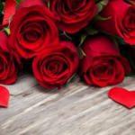 Saksıda gül nasıl bakılır? 