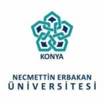 Necmettin Erbakan Üniversitesi 210 sözleşmeli personel alımı! Son gün...