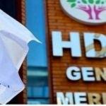 HDP'nin cumhurbaşkanı adayı belli oldu!
