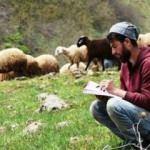 KPSS'ye merada hazırlanıyor
