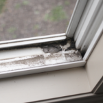 Pencere pervazları nasıl temizlenir? 