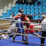 Okul Sporları B Gençler Boks Türkiye Şampiyonası