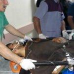 Tunceli'de mayına basan köylü, ağır yaralandı