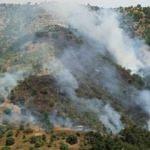 Tarım arazisindeki yangın ormanı da yaktı