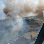 Çanakkale'de orman yangını  