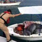 Teknede 131 kilo uyuşturucuya 9 gözaltı