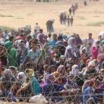 İşte il il Türkiye'de yaşayan Suriyeli sayısı