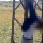 Soylu talimatı vermişti! İlk hamle geldi