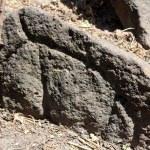 Hatay'da Kayı Boyu sembolü olan mezar taşları bulundu