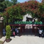 Gaziantep'te "Tropik Kelebek Merkezi" kuruluyor