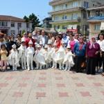 G&uuml;l&uuml;&ccedil; Belediyesi s&uuml;nnet ş&ouml;leni d&uuml;zenledi