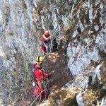 Muğla'da kayalıklarda mahsur kalan oğlak kurtarıldı