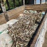 Van'da kaçak avcılıkla mücadele