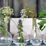 Vazo çiçeklerinin solmaması için ne yapılmalı?