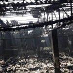 Sakarya'da tavuk çiftliği yangını
