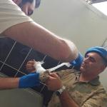 Van'da yaralı baykuşu jandarma ekipleri tedavi ettirdi