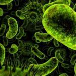 Bakterileri öldüren yüzey geliştirildi