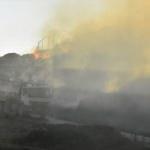 Bodrum'da makilik alanda çıkan yangın söndürüldü