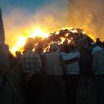 Saray'da ot yangını