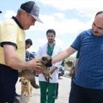 "Gönüllü Hayvan Dostları" projesiyle sahipsiz köpek kalmayacak