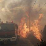 Yunanistan&rsquo;da orman yangını: 50 &ouml;l&uuml; 156 yaralı