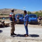 Elazığ'da kayıp koyunlar uçangözle bulundu