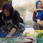 Bu kadınlar 30 bin ton turşu üretiyor!