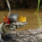 Kelimelerle anlatılamayacak fotoğraflar