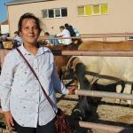 Malkara'da genç çiftçilere düve desteği