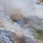 Elmadağ'daki orman yangını, 6 saatte söndürüldü