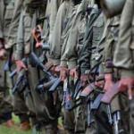 PKK'lı teröriste soğuk duş... Ağaç'ta yakalandı!