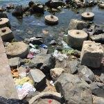 Silivri'de piknikçiler çöp birikmesine neden oldu
