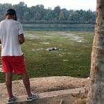 Adana'da nehre giren genç kaybolması