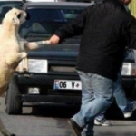 En komik Kurban Bayramı capsleri