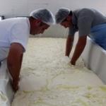 Kırklareli peyniri 16 ülkenin sofrasında